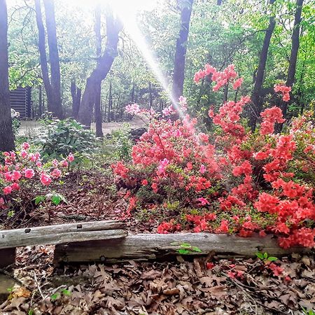 יוריקה ספרינגס Cherokee Mountain Log Cabins מראה חיצוני תמונה