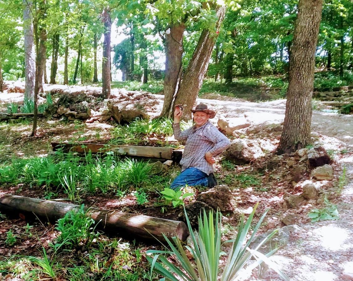 יוריקה ספרינגס Cherokee Mountain Log Cabins מראה חיצוני תמונה
