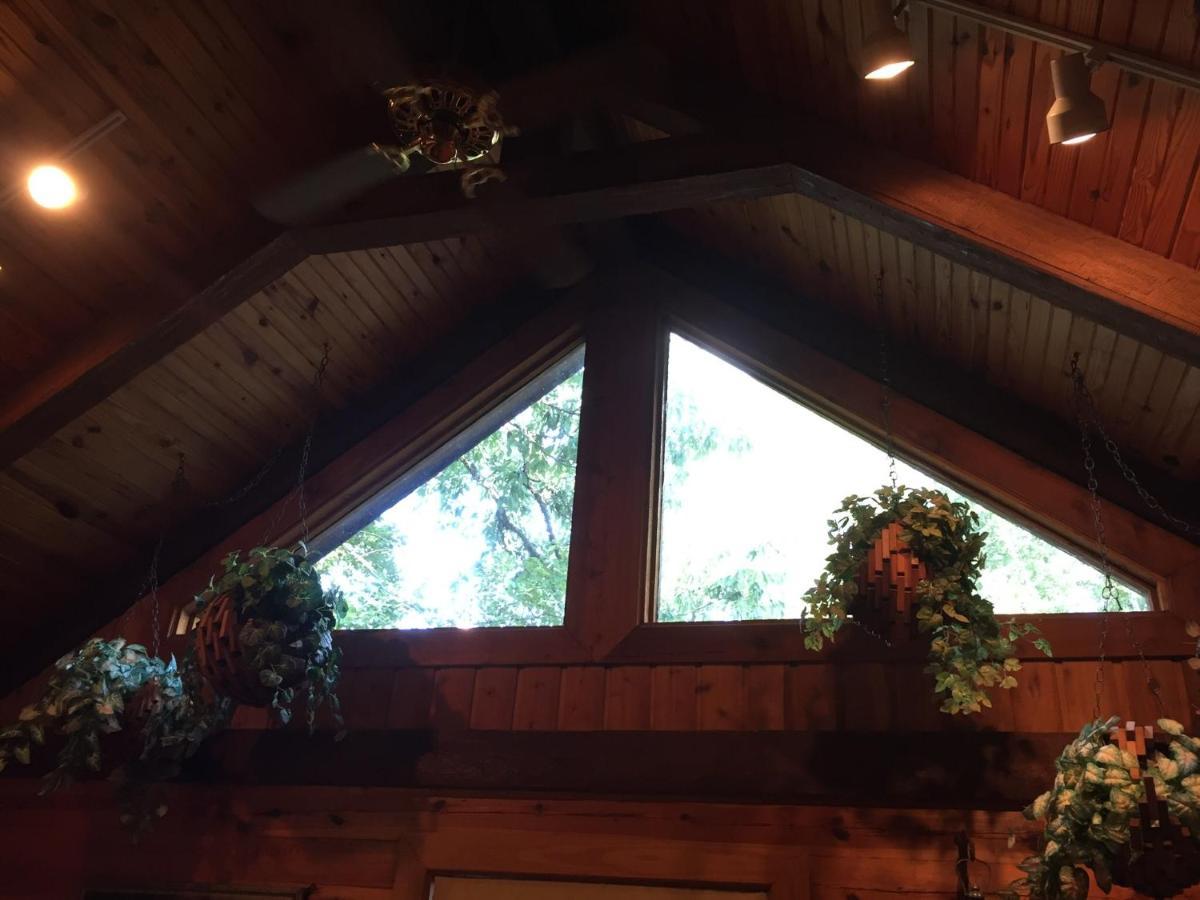 יוריקה ספרינגס Cherokee Mountain Log Cabins מראה חיצוני תמונה